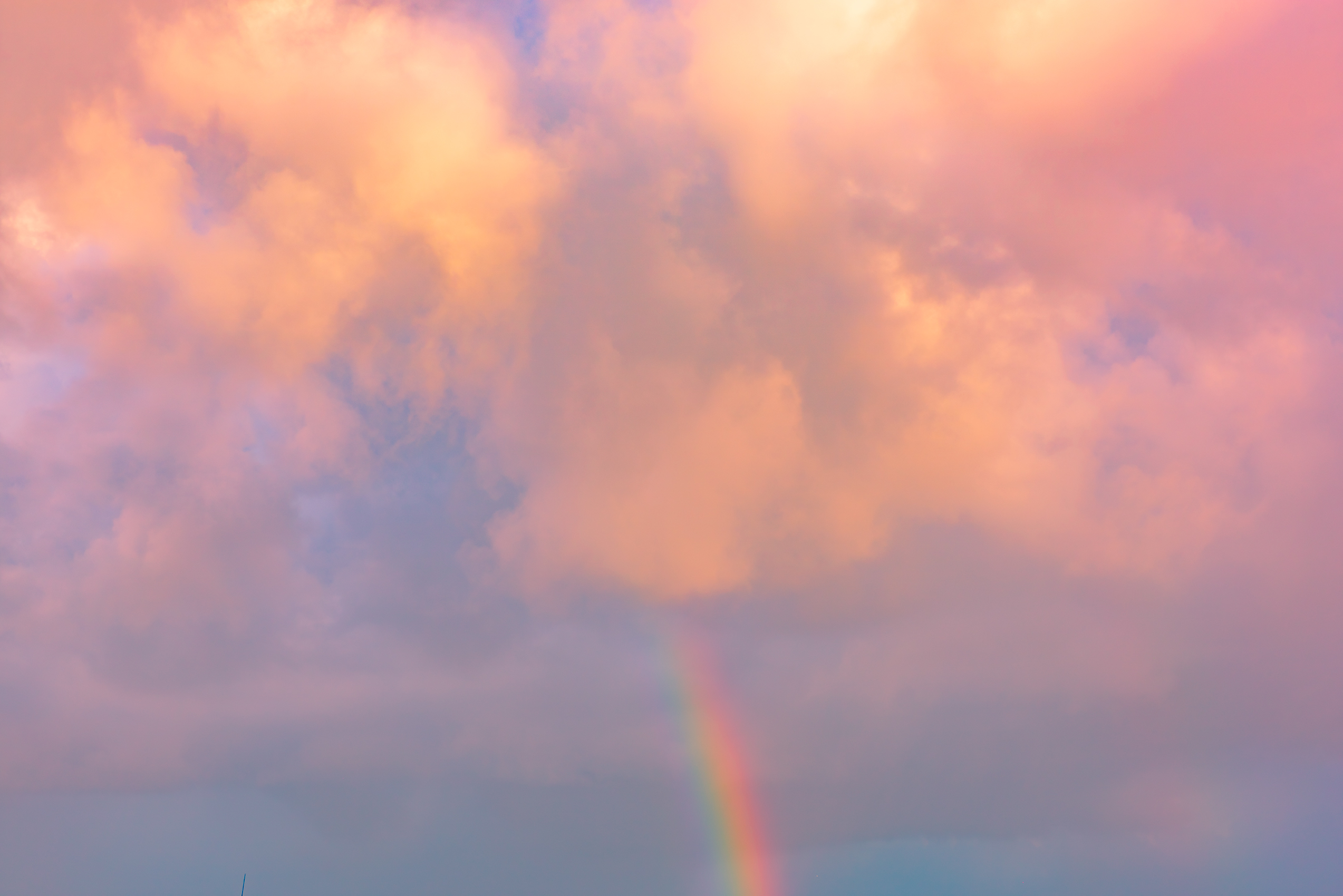 _DSC0409