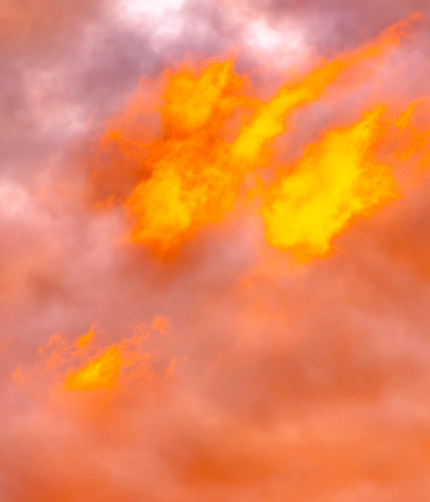 _DSC0916f